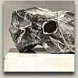 Isokallo---Big skull. Pronssi---Bronze