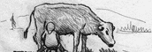 Book illustration, pencil